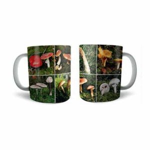 Mug Champignons