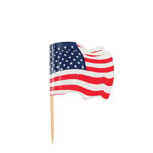 144 piques drapeau USA recyclables – 4×3/6,5 cm