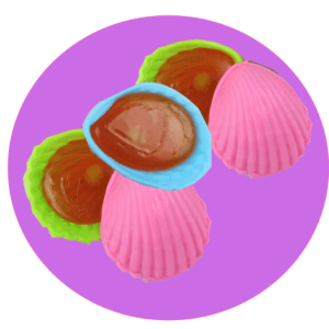 1 roudoudou coquillage