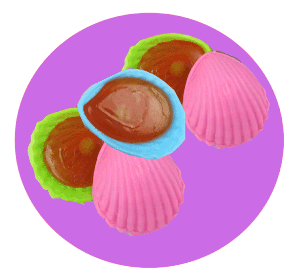 1 roudoudou coquillage – Image 2