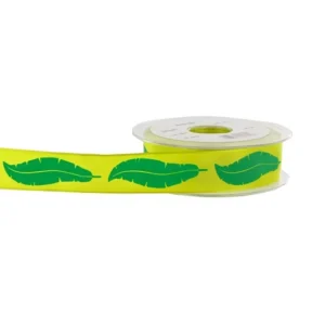Cerf Dellier Ruban Plumes Anis 25 Mm (20 M)  Online
